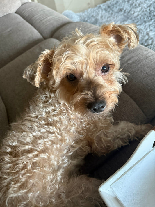 Managing Anxiety